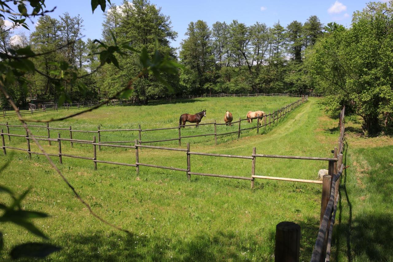 Kruševac Amigosranchヴィラ エクステリア 写真